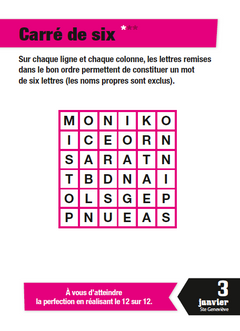 Calendrier Incroyables Casse-têtes en 365 jours - L'Année à Bloc