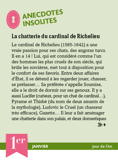 Calendrier Mystères de l'Histoire en 365 jours - L'Année à bloc