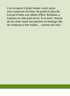 Calendrier Mystères de l'Histoire en 365 jours - L'Année à bloc