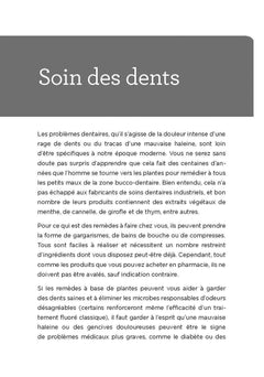 De la lavande, du persil, de la menthe et de la sauge