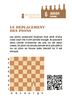 Calendrier Passion Échecs en 365 jours - Année à Bloc