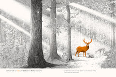 Dans la forêt - cherche et trouve 100 animaux