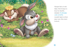 DISNEY - Histoires pour les tout-petits - Les aventures de Panpan