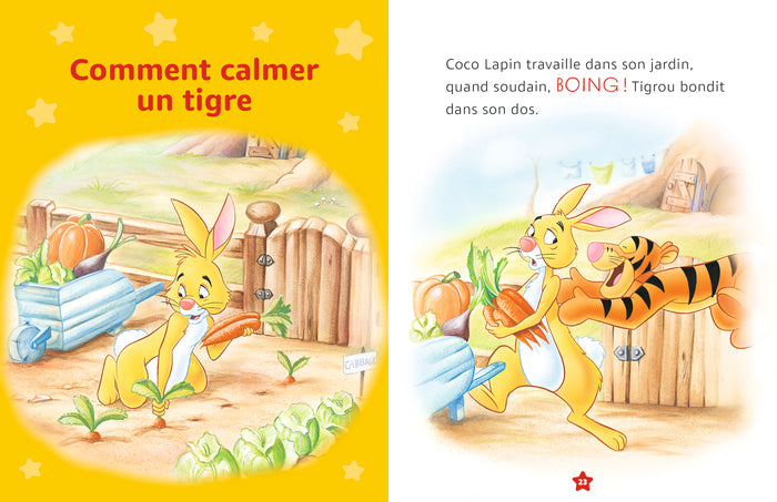 DISNEY - Histoires pour les tout-petits - Les aventures de Winnie