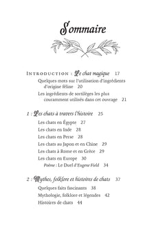 Une vie de magie avec mon chat - Sortilèges, charmes & histoires magiques