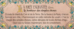 Le petit oracle de Merlin l'enchanteur