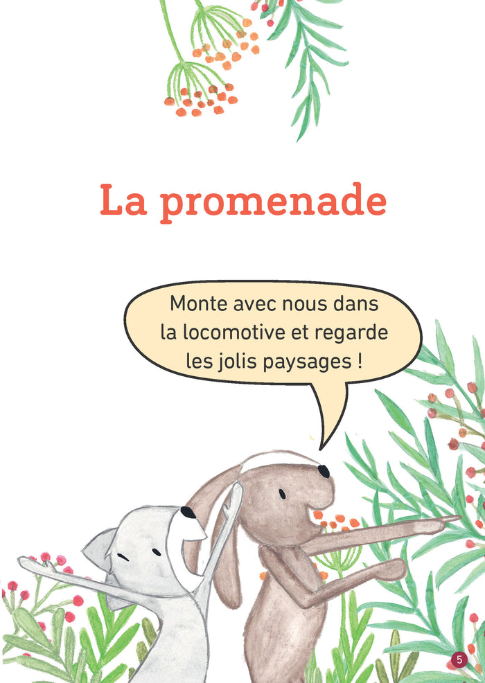 La promenade ! Niveau 1