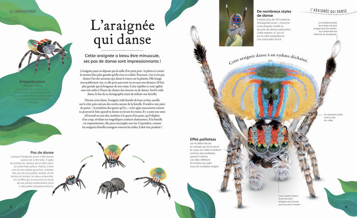 L'anthologie insolite de la nature étrange et mystérieuse