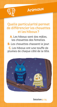 Boîte remue-méninges