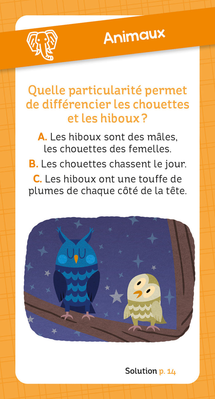 Boîte remue-méninges