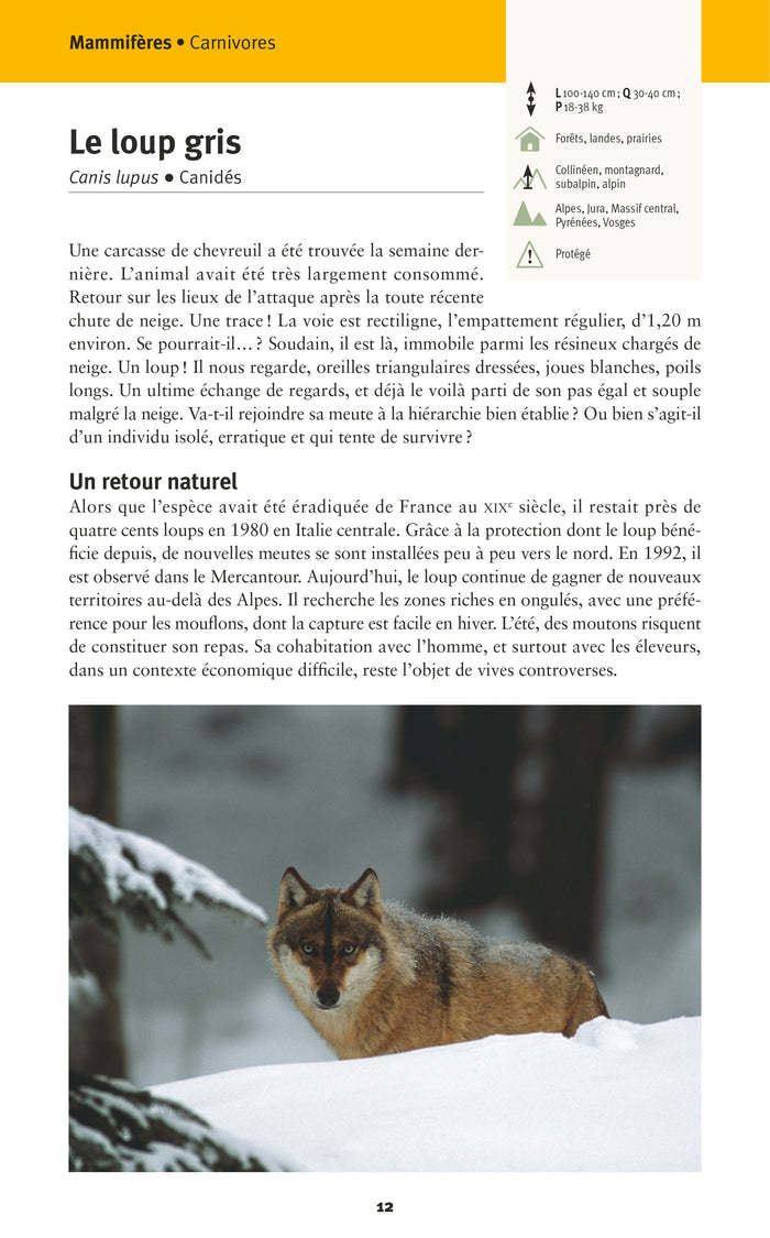 Faune et flore de nos montagnes