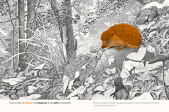 Dans la forêt - cherche et trouve 100 animaux