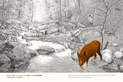 Dans la forêt - cherche et trouve 100 animaux