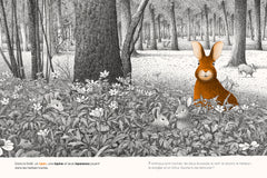 Dans la forêt - cherche et trouve 100 animaux