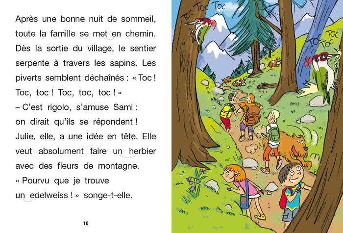 Sami et Julie CE1  Sami et Julie à la montagne