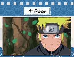 Une année 100% Naruto Shippuden