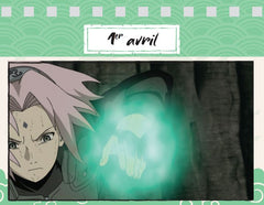 Une année 100% Naruto Shippuden