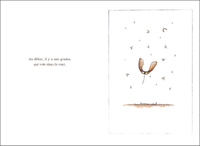 Au début il y a une graine
