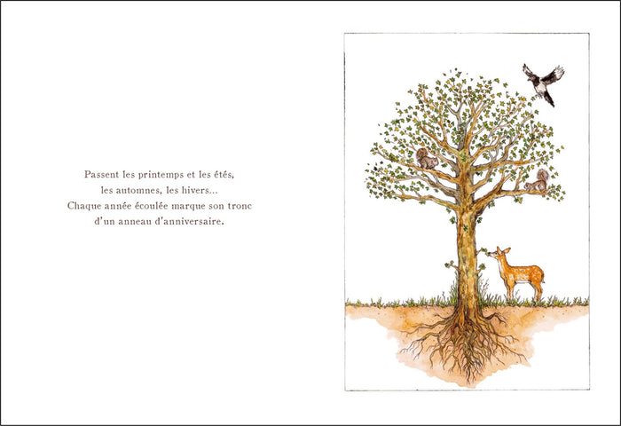 Au début il y a une graine