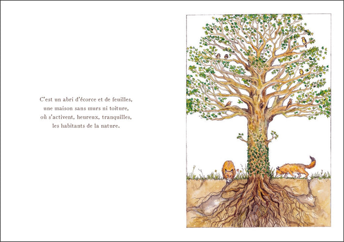 Au début il y a une graine