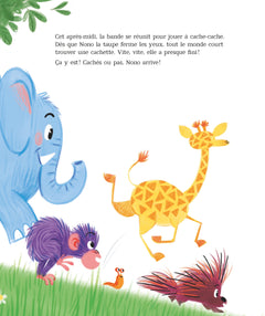 Le Club des nuls au cache-cache