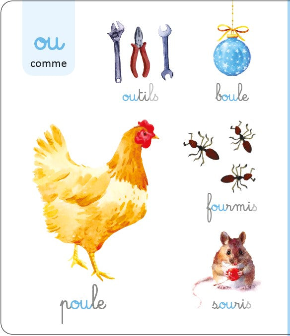 Le grand imagier Montessori des sons et des graphèmes