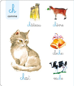 Le grand imagier Montessori des sons et des graphèmes