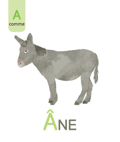 Le grand imagier Montessori lettres et chiffres rugueux