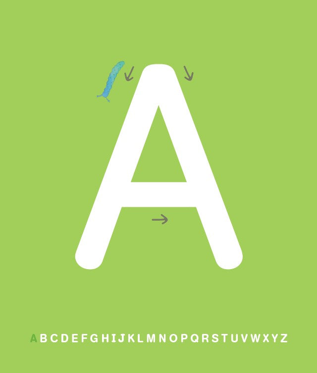 Le grand imagier Montessori lettres et chiffres rugueux