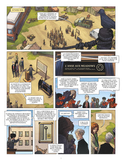 Vinland : avant le nouveau monde