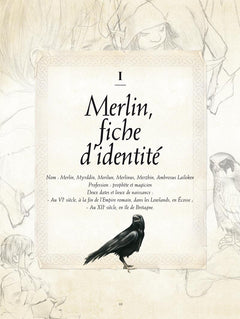 Le livre secret de Merlin