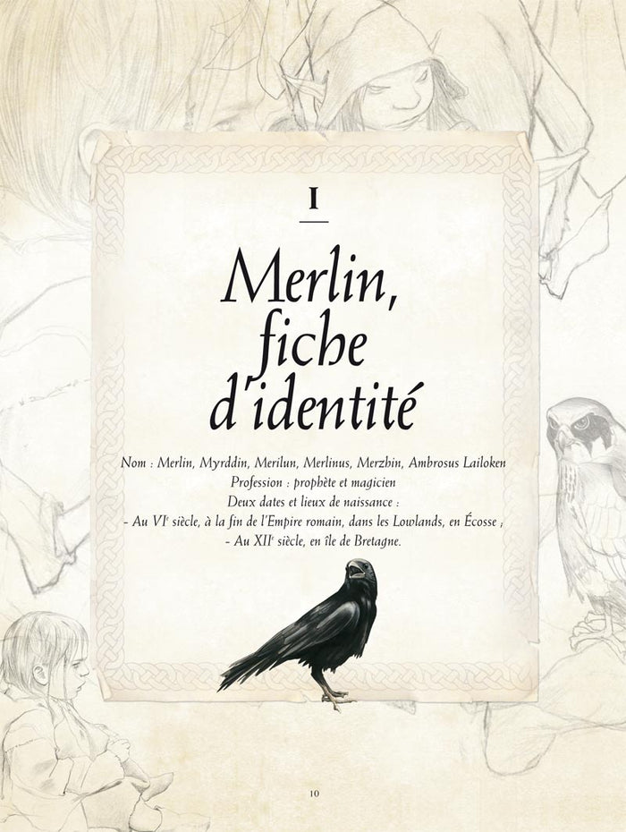 Le livre secret de Merlin