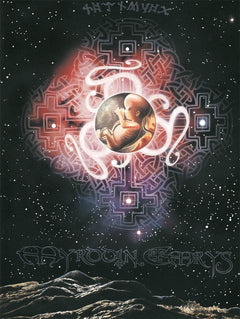 Le livre secret de Merlin