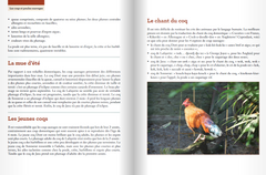 Le grand guide des poules