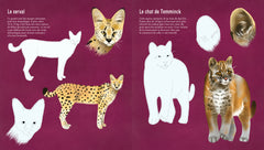 Je découvre les félins en dessinant et en coloriant