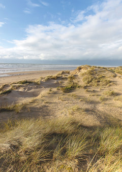 La Plage, une nature cachée