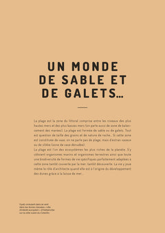 La Plage, une nature cachée