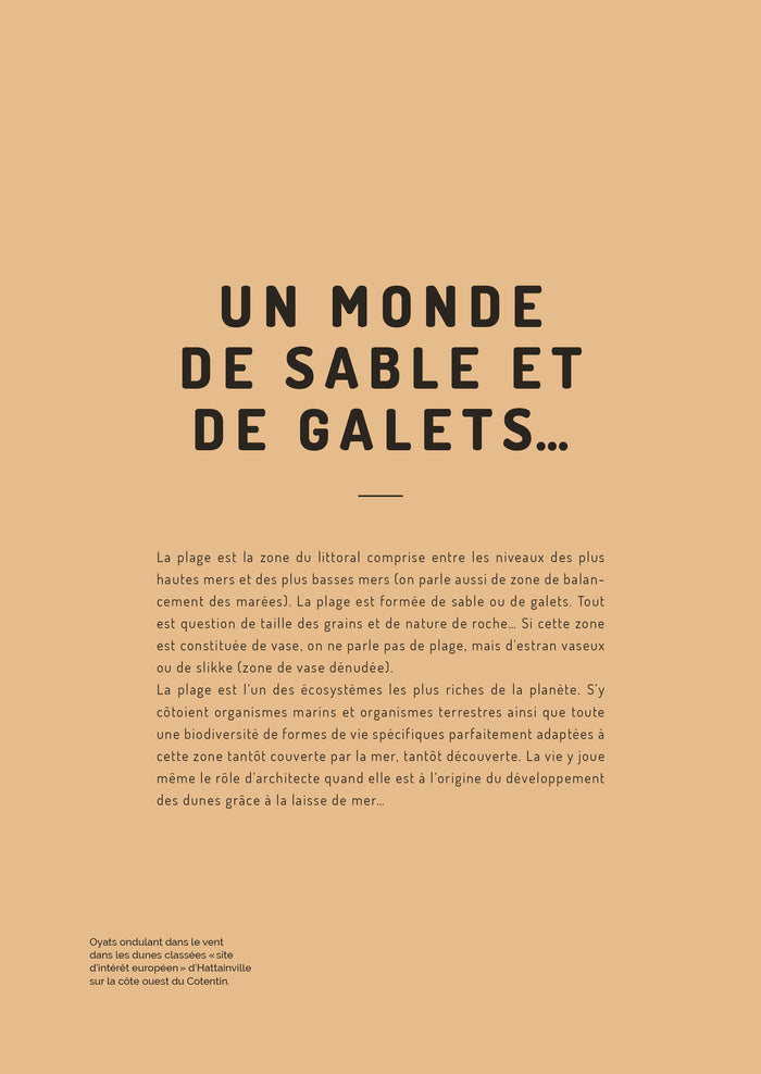 La Plage, une nature cachée