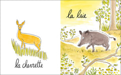 Lionne, lézarde, blairelle - L' imagier des femelles