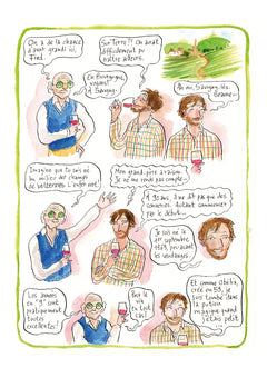 Chroniques de la vigne