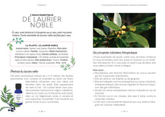 Les 20 huiles carrément essentielles