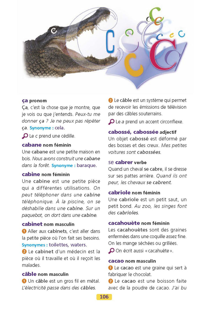 Larousse dictionnaire des débutants 6/8 ans CP/CE