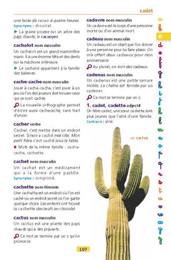 Larousse dictionnaire des débutants 6/8 ans CP/CE