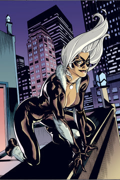 Spider-Man/Black Cat: L'enfer de la violence
