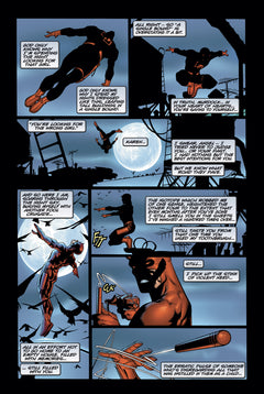Daredevil: Sous l'aile du Diable