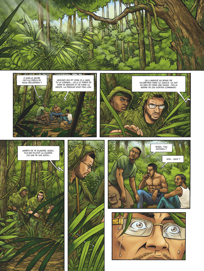 Le Gorille au dos argenté