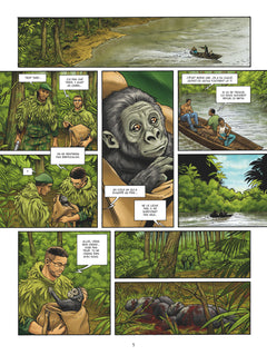 Le Gorille au dos argenté