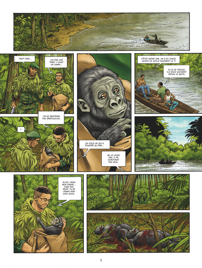 Le Gorille au dos argenté