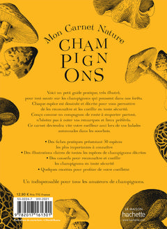Mon carnet nature : Champignons