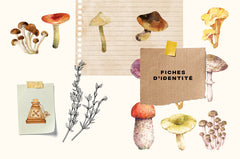 Mon carnet nature : Champignons